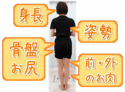 O脚改善以外に変わりやすい部位:身長、姿勢、骨盤、お尻、前・外のお肉